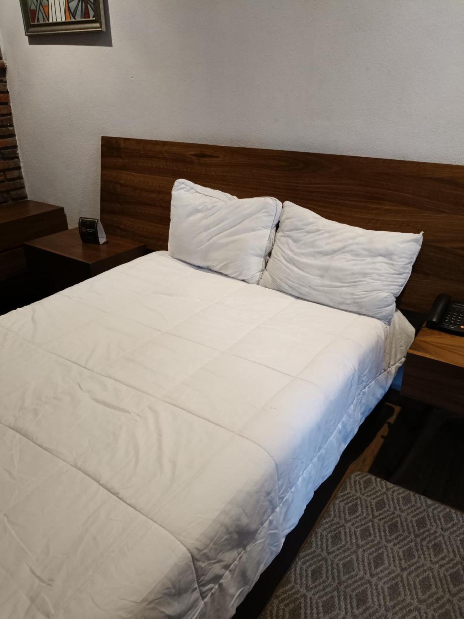 Casa Carmona 33 Hotel Querétaro Buitenkant foto